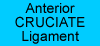 anterior cruciate ligament surgery