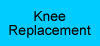 knee prosthesis